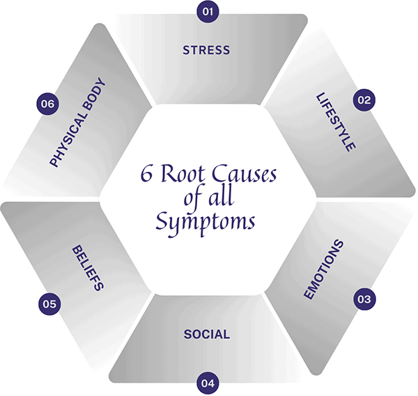 The 6 Root Causes of all Symptoms diagram - stress, lifestyle, emotions, beliefs, and physical body.